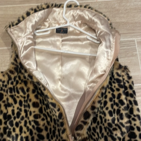 Crewcuts - Picture 3 of 3